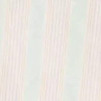 Big & Tall Oxford Striped Short Sleeve Shirt