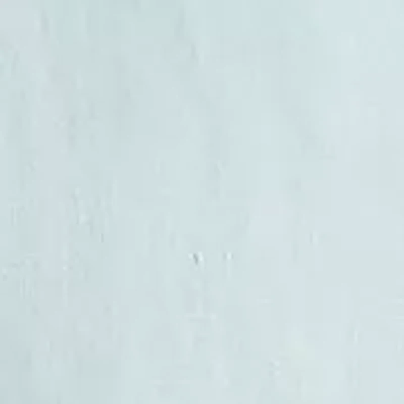 Big & Tall Printed Short Sleeve Camp Shirt