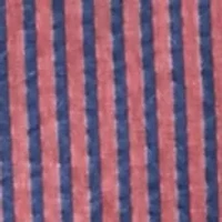 Big & Tall Printed Button Down Shirt