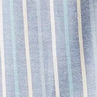 Big & Tall Oxford Stripe Shirt