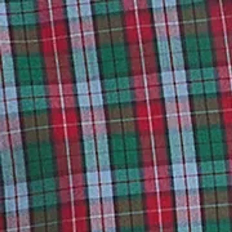 Big & Tall Long Sleeve Plaid Button Down Shirt