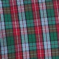 Big & Tall Long Sleeve Plaid Button Down Shirt