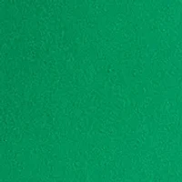 Big & Tall Marine Life Graphic T-Shirt