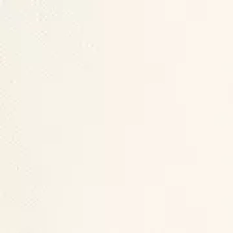 Embroidered Crew Neck Sweater