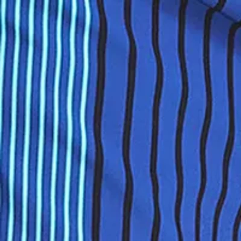 6" Striped Quick Dry Swim Shorts