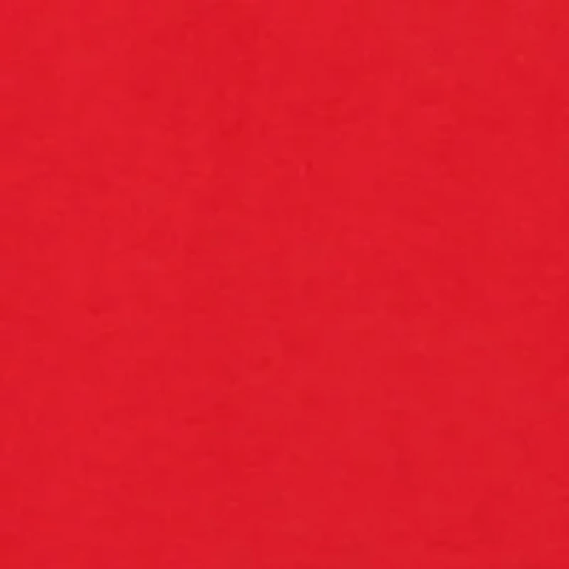 Quick Dry Swim Trunks