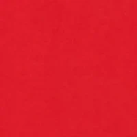 Quick Dry Swim Trunks