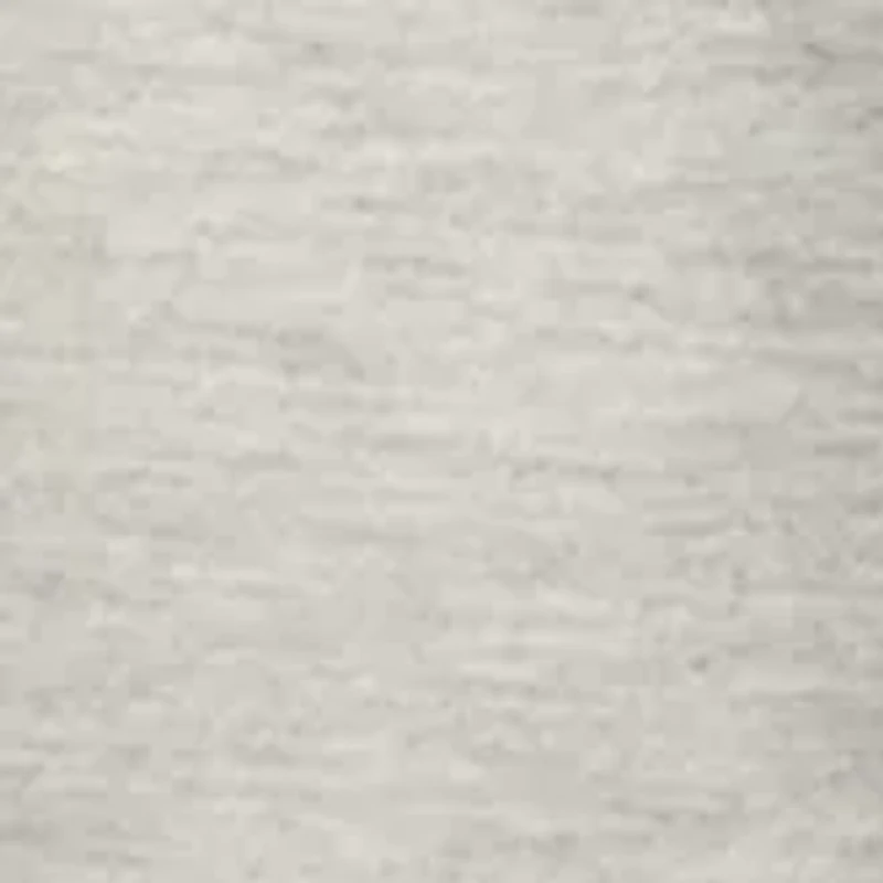 Sailing Regatta Graphic T-Shirt