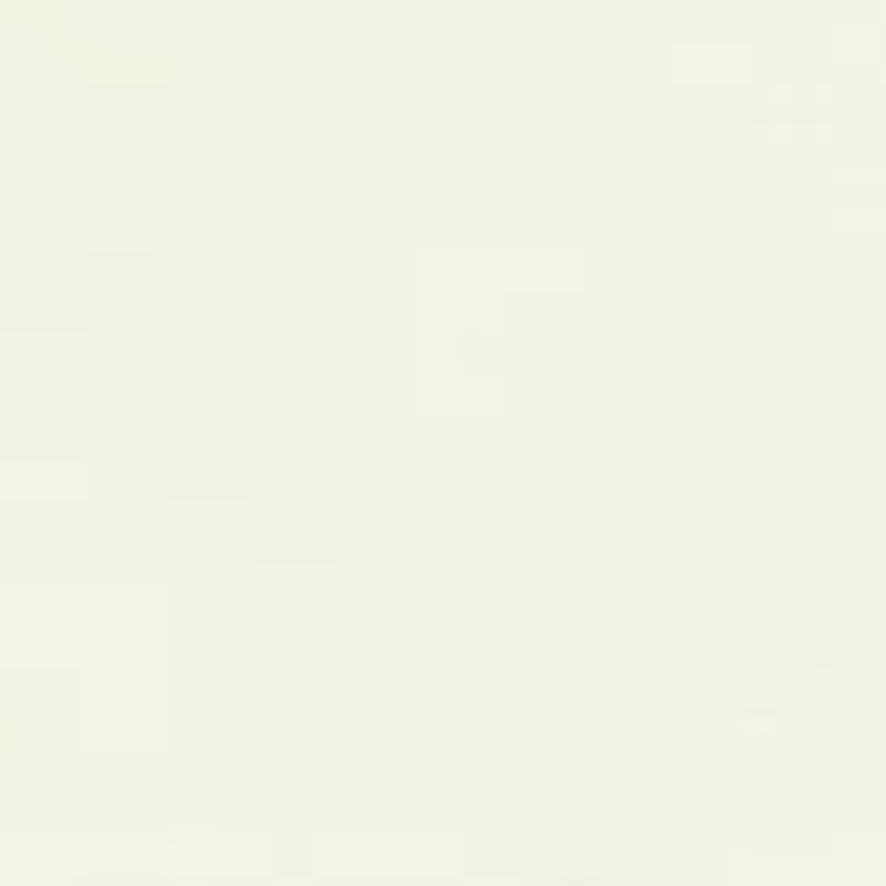 Solid Oxford Short Sleeve Shirt