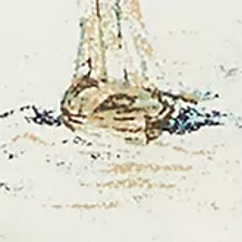 Printed Short Sleeve Shirt