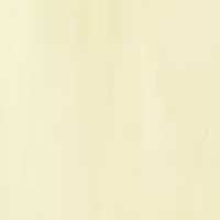 Short-Sleeve Linen Shirt