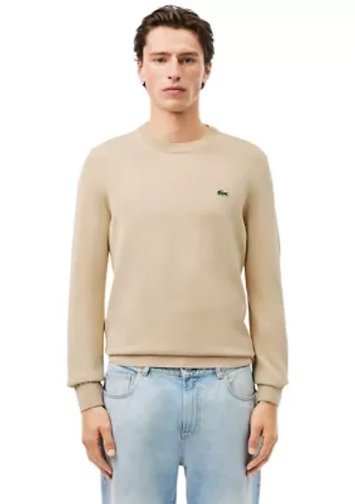 Solid Crew Neck Sweater