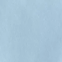 Men's Light Polo Shirt