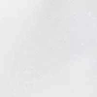 Men's Trim Accent Polo Shirt