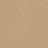 Men's Cotton T-Shirt