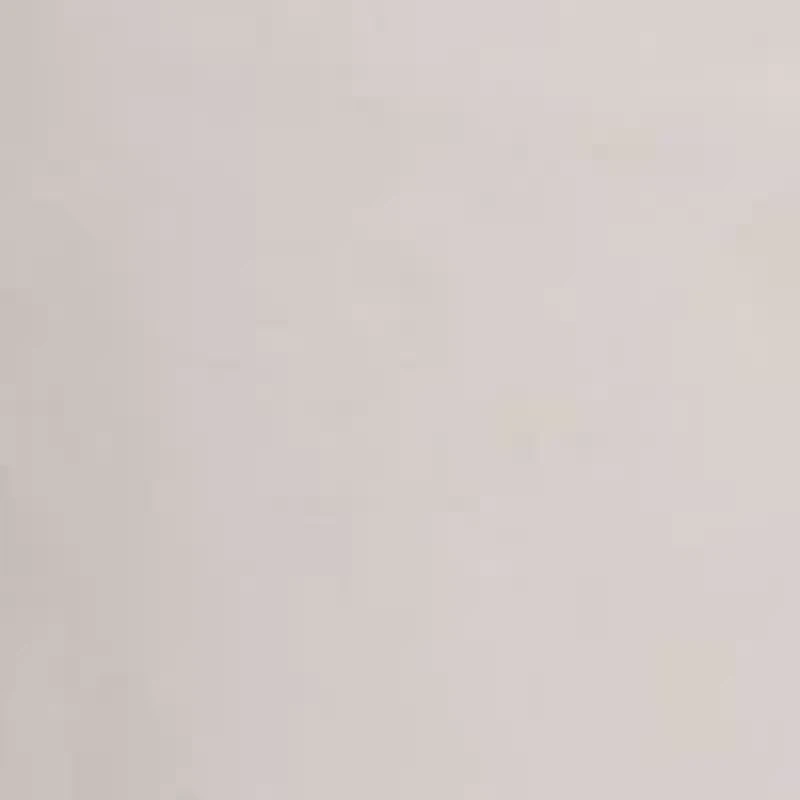 Regular Fit Chino Pants