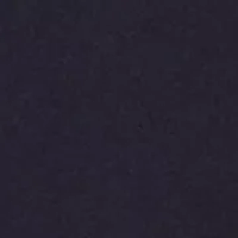 Embroidered Tommy Logo T-Shirt