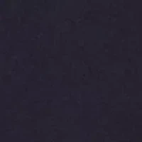 Embroidered Tommy Logo T-Shirt