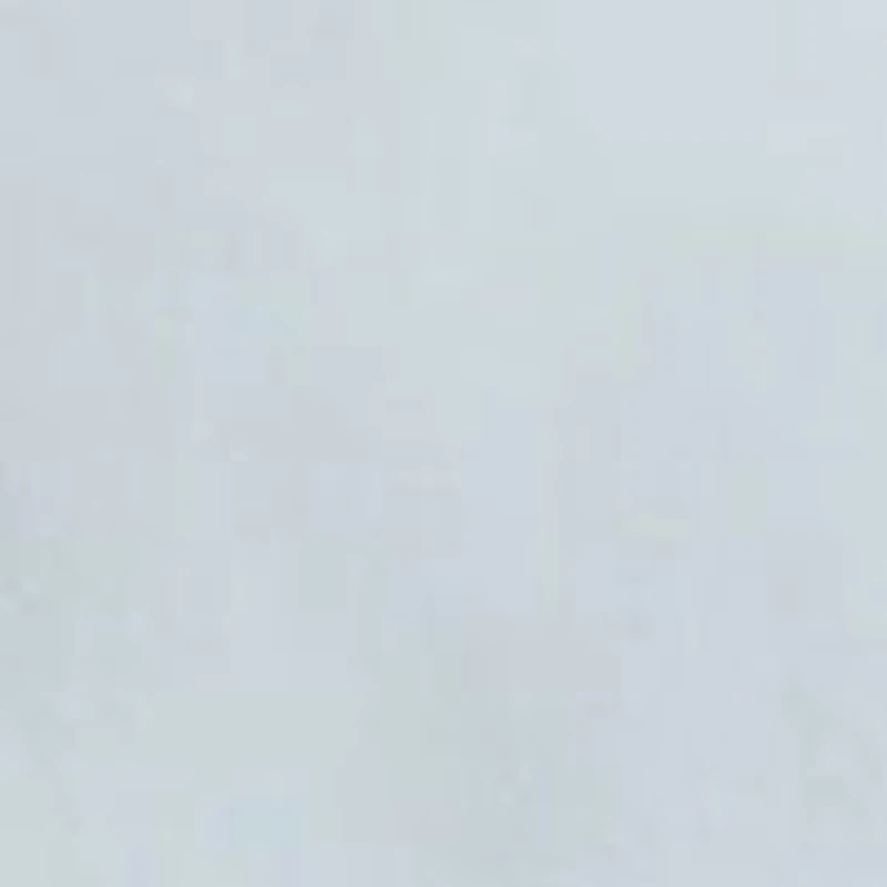 Flex Poplin Button Up Shirt