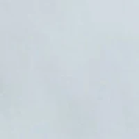 Flex Poplin Button Up Shirt