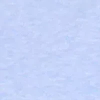 Regular Fit Linen Polo Shirt