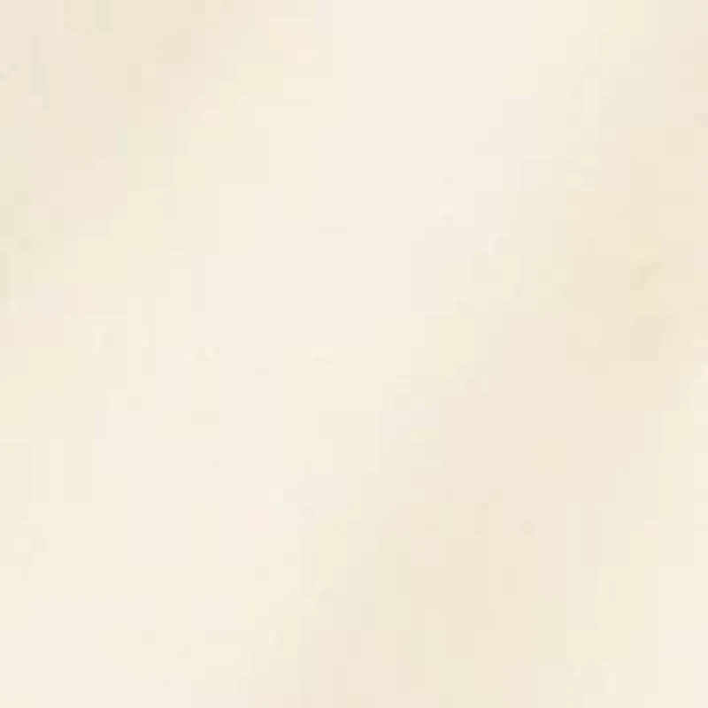 Oxford Shirt