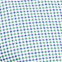Flex Regular Fit Gingham Poplin Shirt