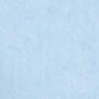 Denim Button Down Shirt