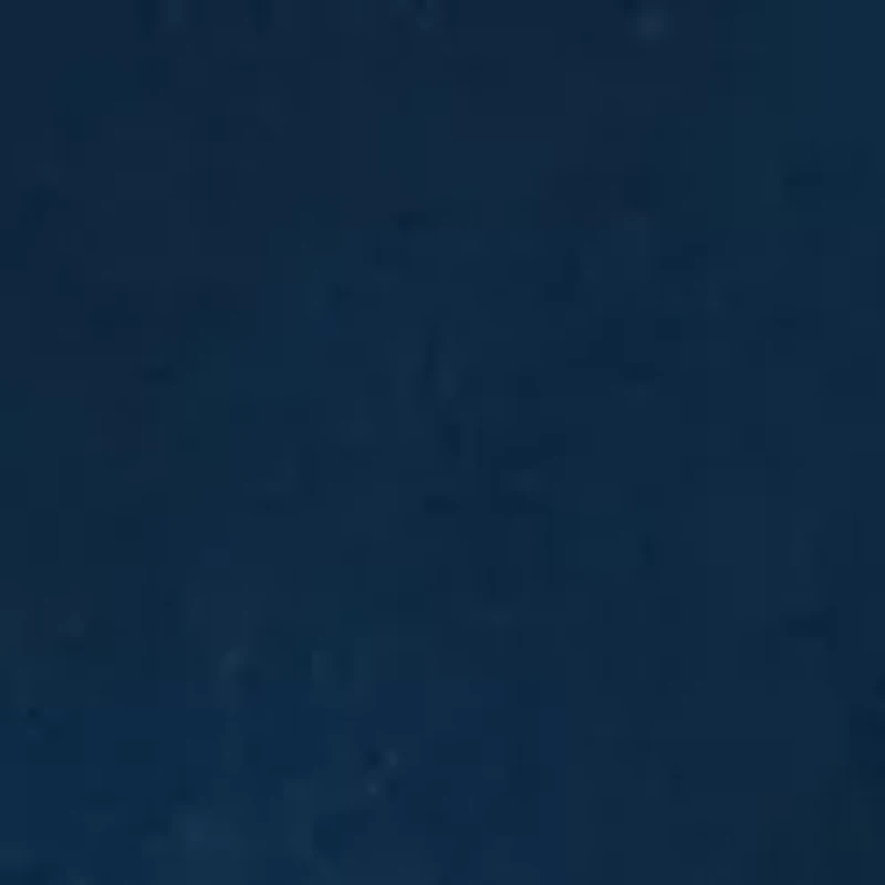 Color Photo Print Graphic T-Shirt