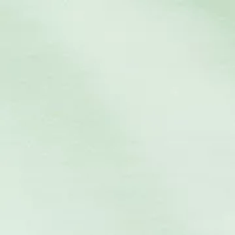 Embroidered Hilfiger Logo T-Shirt