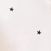 Printed Polo Shirt