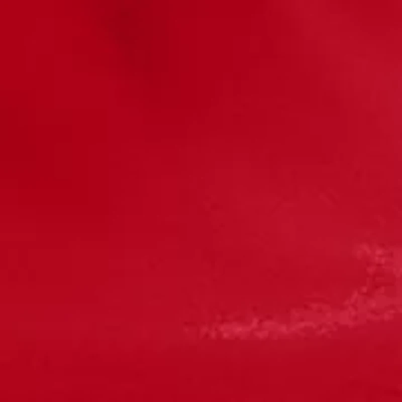 Regular Fit Cotton Polo Shirt