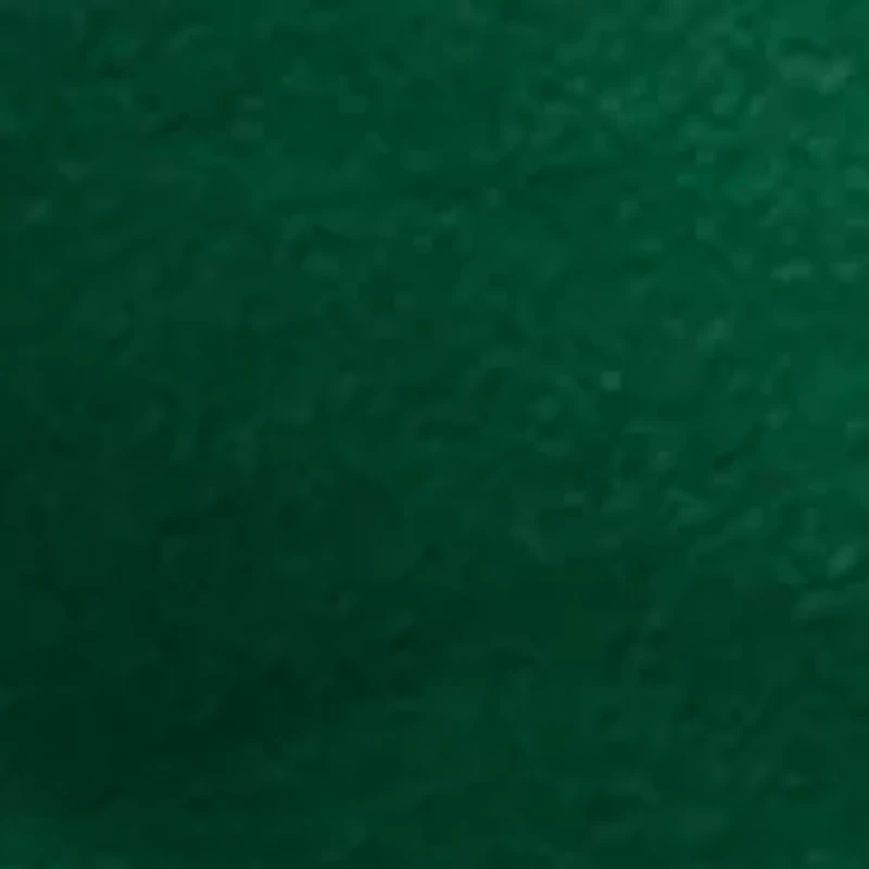 Essential Fleece Hoodie