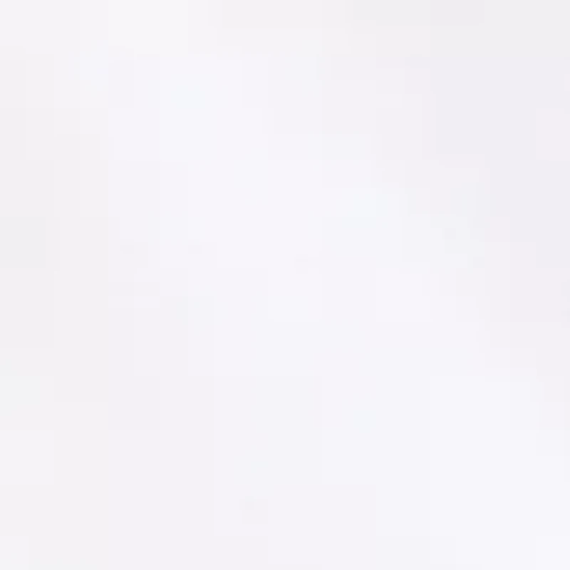 Embroidered Flag Hoodie