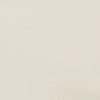 Big & Tall Flat Front Ultimate Performance Chino