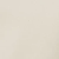 Big & Tall Pleated Ultimate Performance Chino