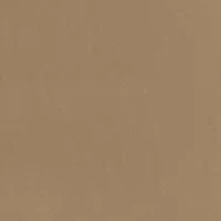 Men's Straight Fit Solid Dress Pants