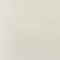 Big & Tall Straight Leg Flat Front Pants