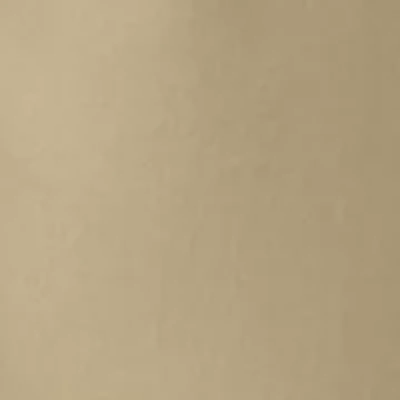 Big & Tall Straight Leg Flat Front Pants