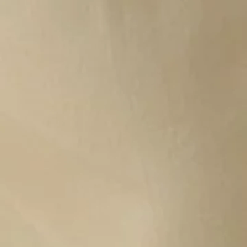 Big & Tall Pleated Pants