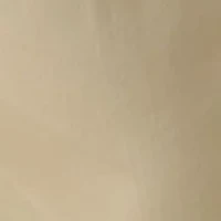 Big & Tall Pleated Pants