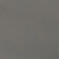 Men's Motion Flat Front Shorts