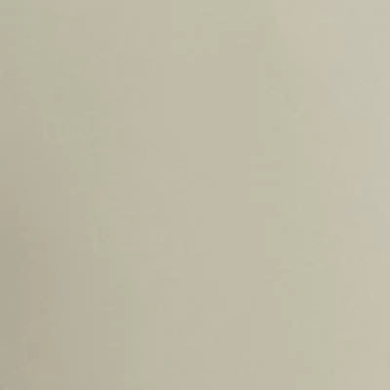 Men's Motion Flat Front Shorts