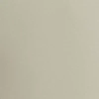 Men's Motion Flat Front Shorts