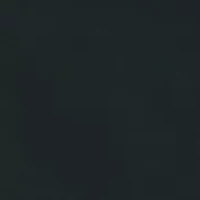 Big & Tall 10.5" Pro Spin Shorts