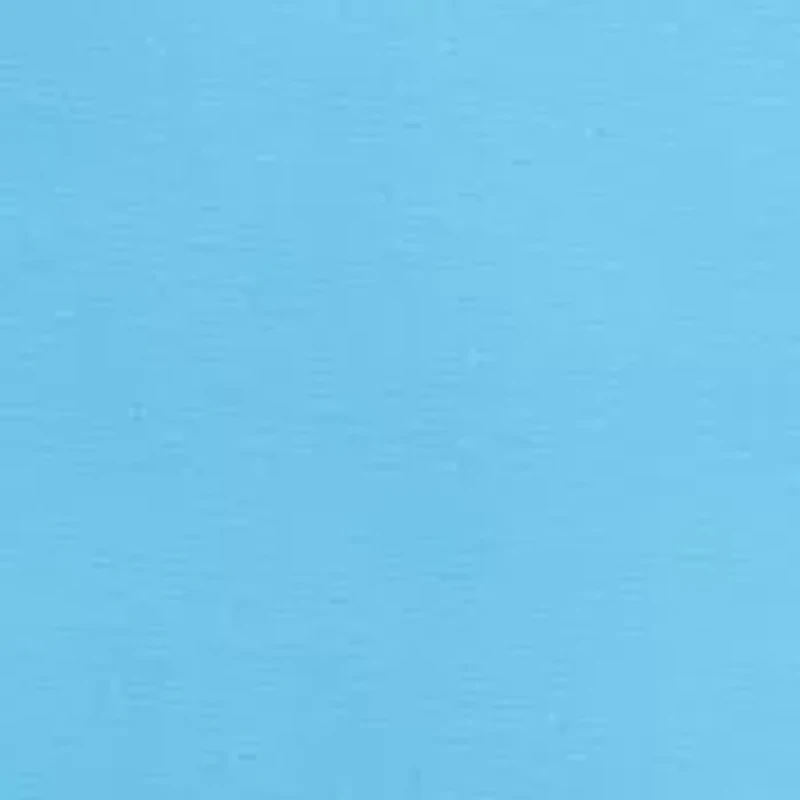 Big & Tall 10.5" Pro Spin Shorts