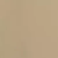 Big & Tall Epic Pull On Nylon Golf Shorts