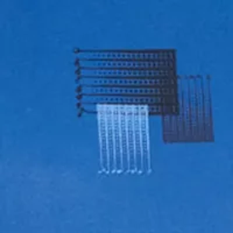 Big & Tall Printed Polo Shirt