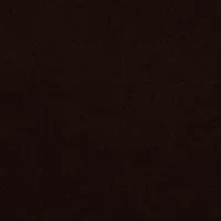 Men's Supima T-Shirt