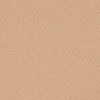 Men's Long Sleeve Woven Button Up Shirt